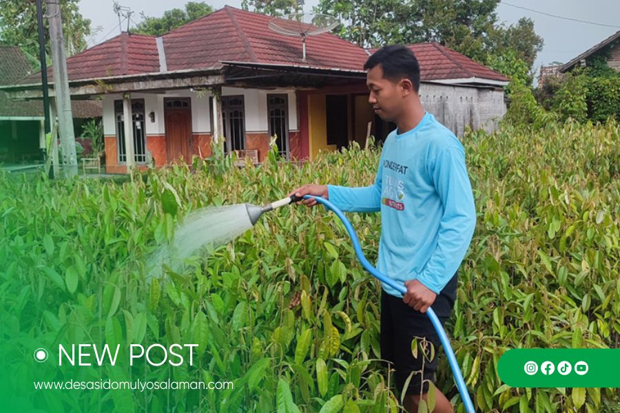 Jejak Bibit sebagai Nadi Ekonomi Desa