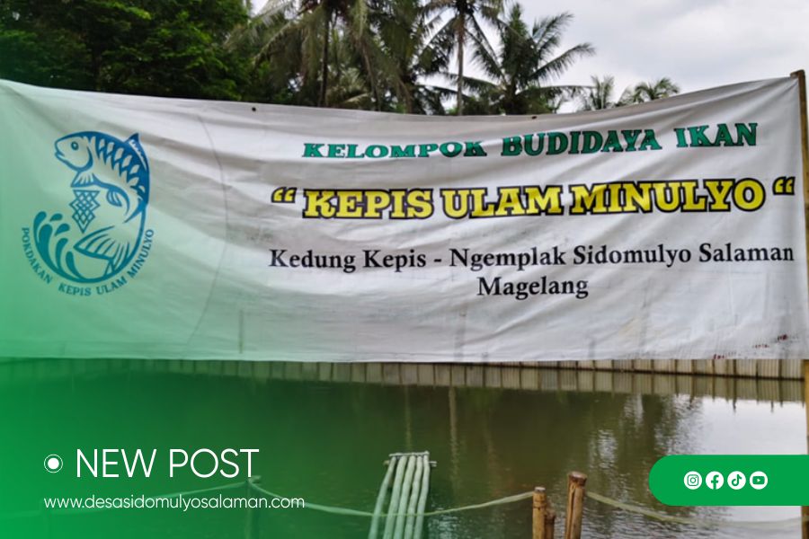 Kolam Ikan Kedung Kepis dan Harapan Ekonomi Desa