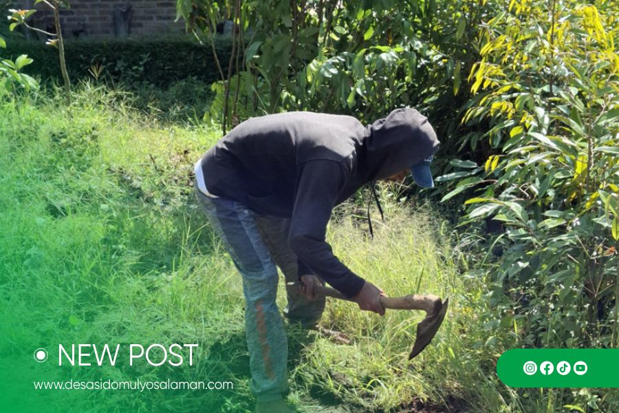 Sejarah Perkembangan Usaha Pembibitan Tanaman di Dusun Kalangan